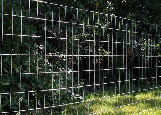 Galvanis Welded Wire Gulung Pagar Dengan Ukuran Mesh 2-In X 4-In