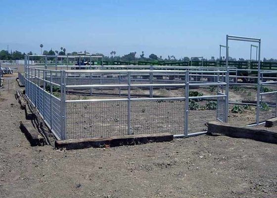 Frame Welded Wire Horse Fence Dengan Kekuatan dan Keamanan Tinggi