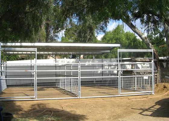 Frame Welded Wire Horse Fence Dengan Kekuatan dan Keamanan Tinggi