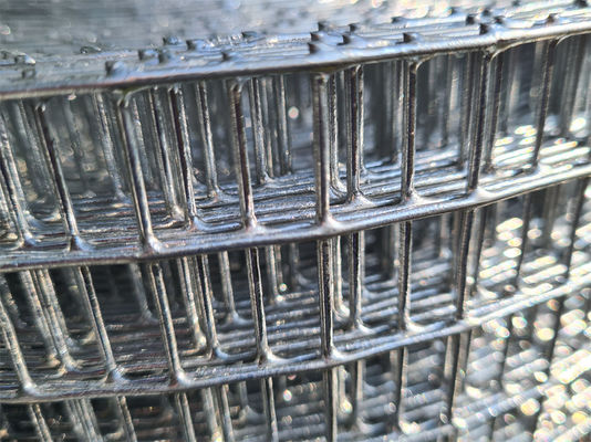 2.5-25cm Ukuran Mesh Pengelasan Terampil Woven Welded Wire Mesh Wire Diameter 1mm-10mm