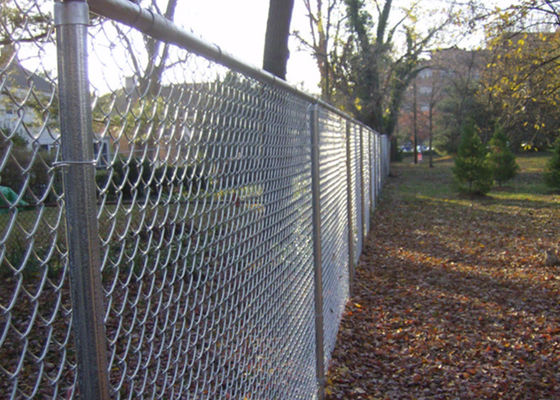 Galvanized Chain Link Fence 50x50mm Mesh Low Carbon Steel Wire 6m Tinggi