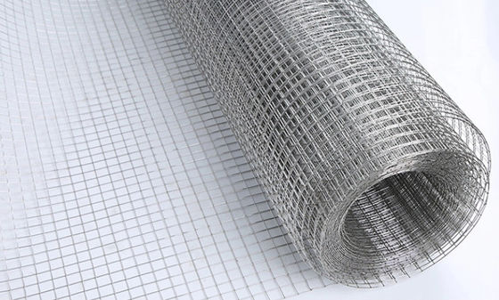 Silver Color Fence 2*2cm Galvanized Welded Wire Mesh Rolls Baja Karbon