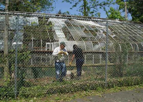 Pagar Rantai Menghalangi Hama dan Burung dari Akses Rumah Kaca